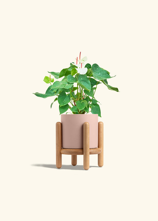 Classic Planter Stand Combo, Rose Pink
