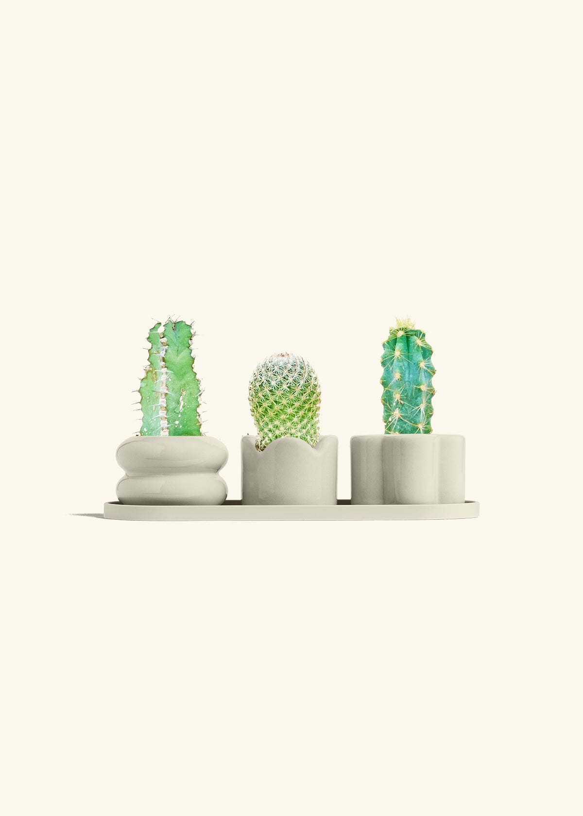 Mini Planter Trio, Oat