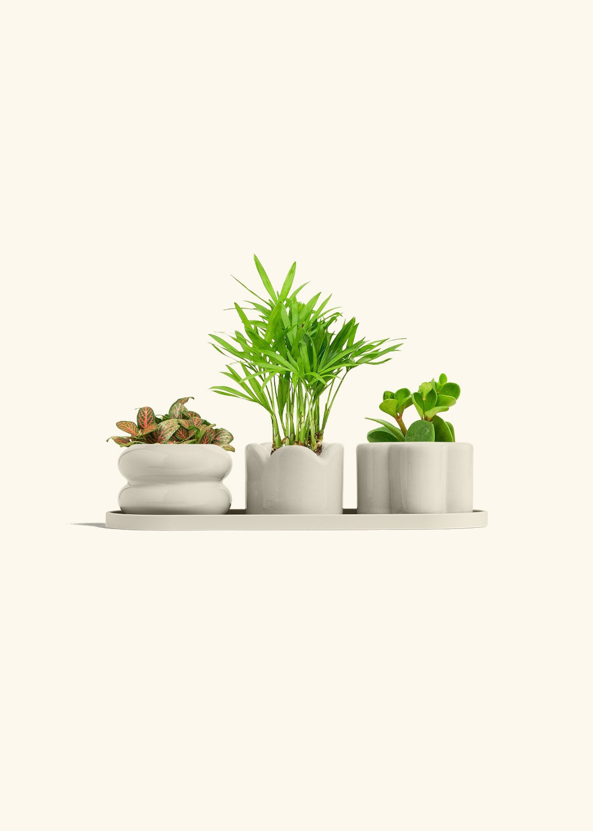 Mini Planter Trio, Oat
