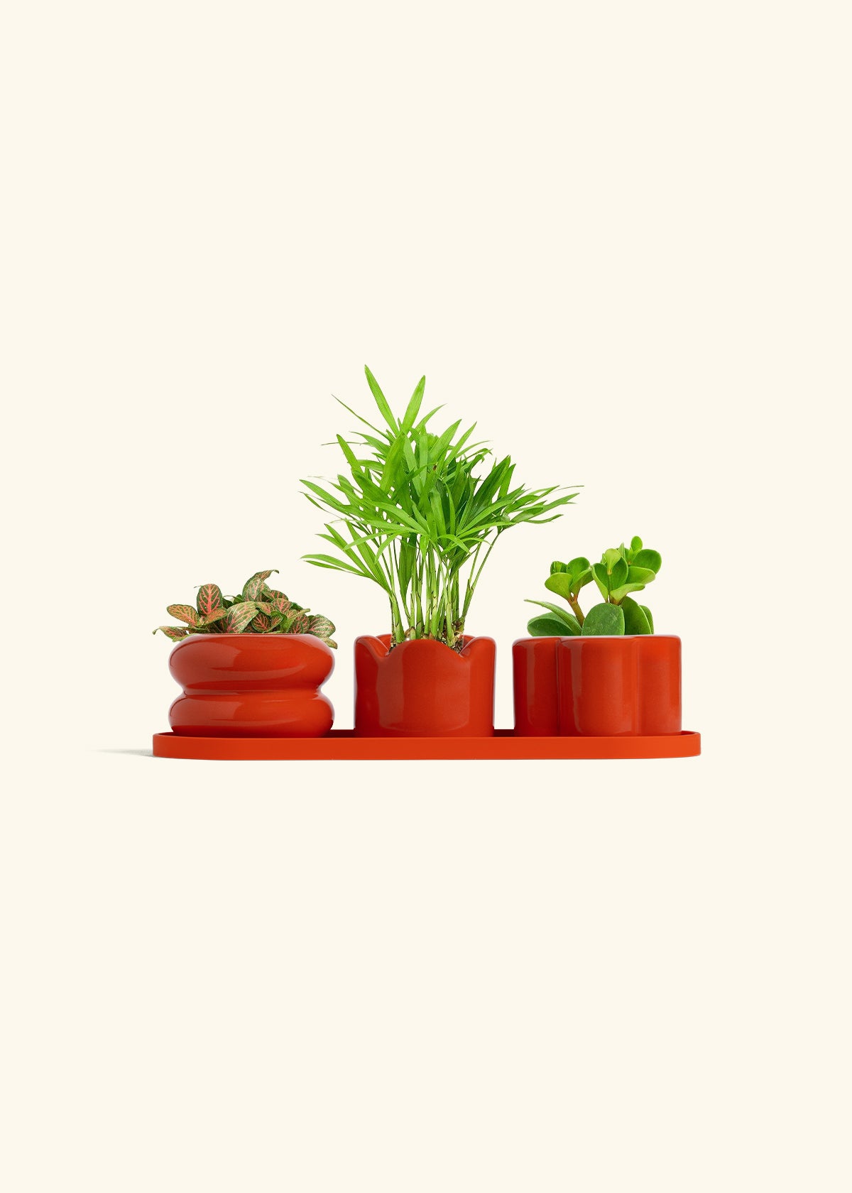 Mini Planter Trio, Poppy