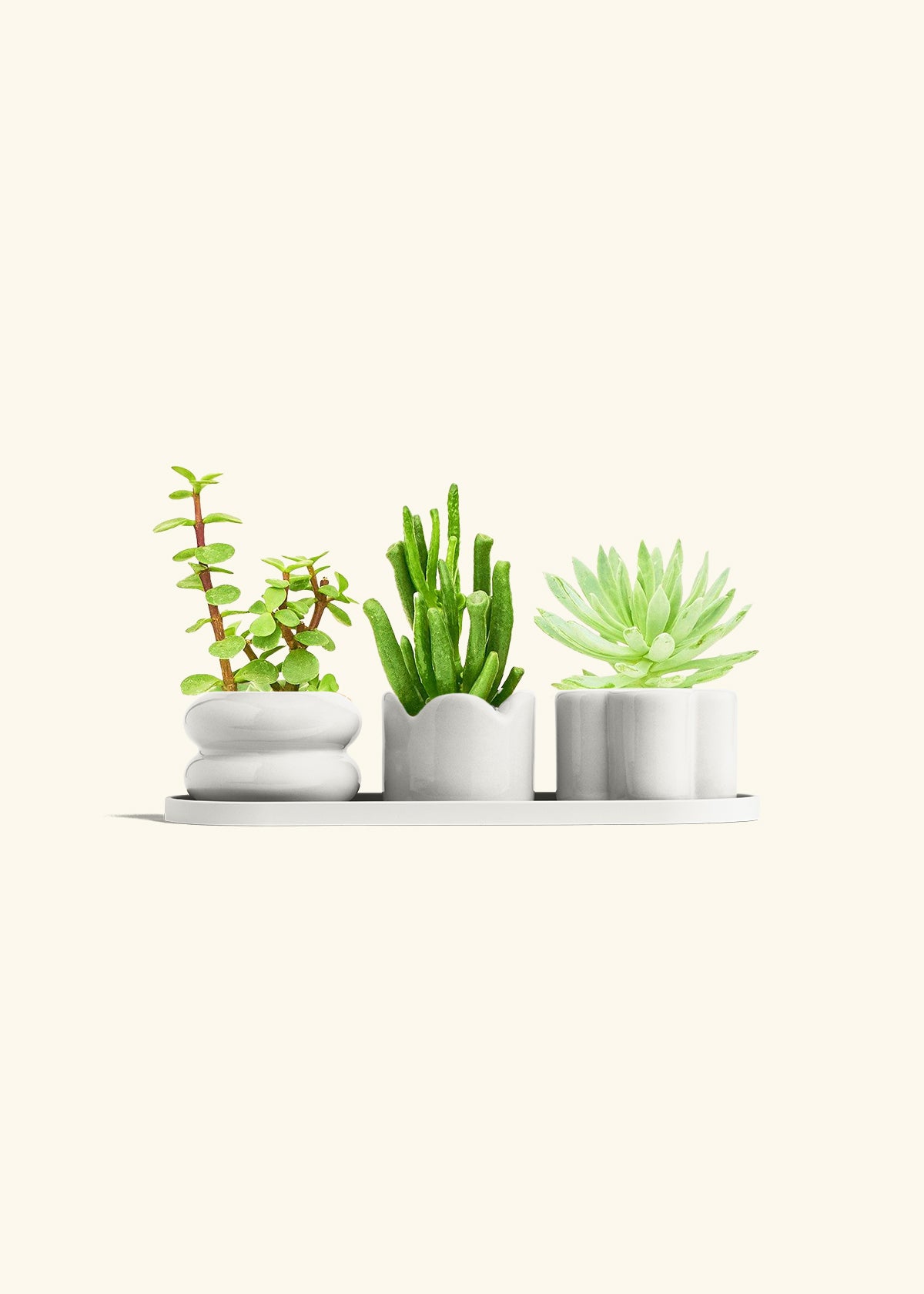 Mini Planter Trio, Oat