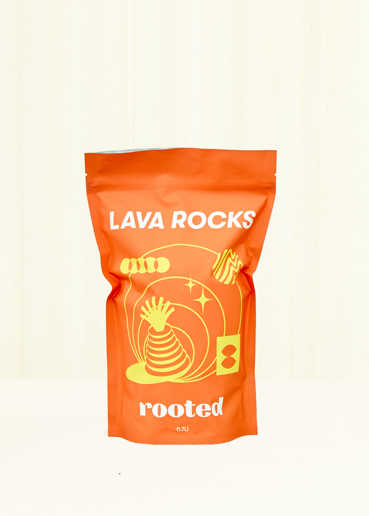 Lava Rocks Accessory Rooted 